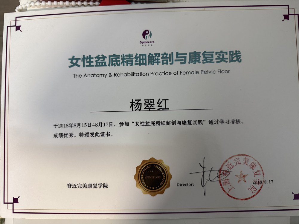 女性盆底精细解剖与康复实践